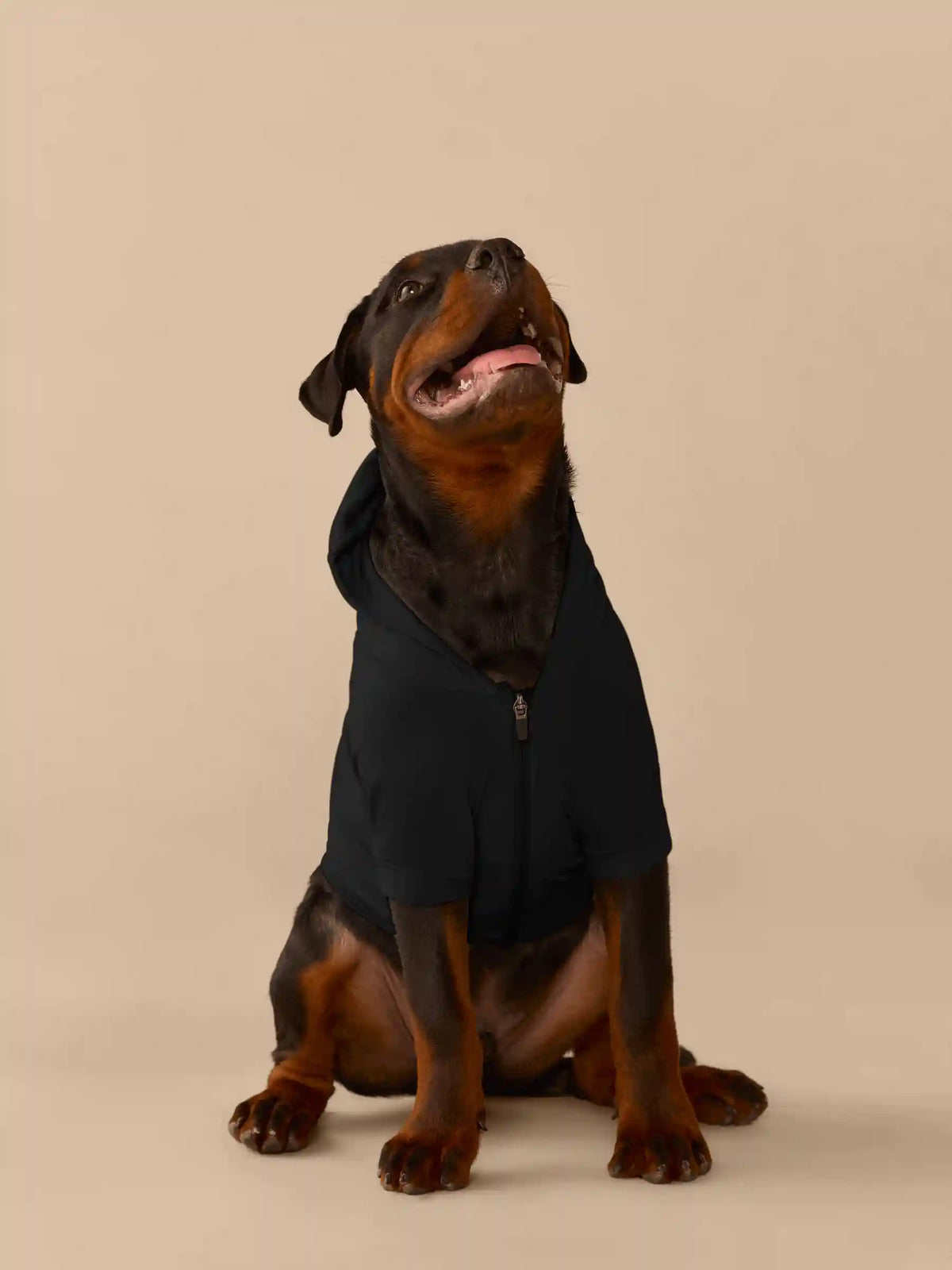 UltraModal™ Dog Hoodie | Black