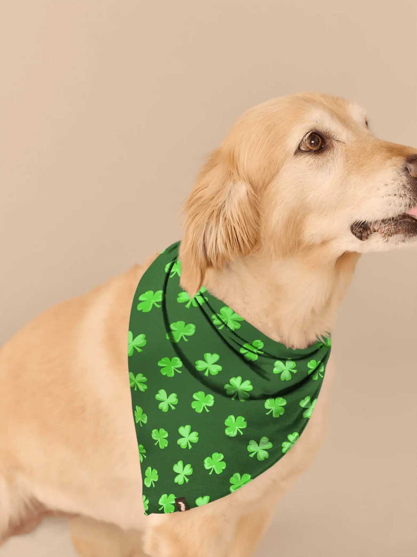 UltraModal™ BuddyBands™ | Lucky Pair