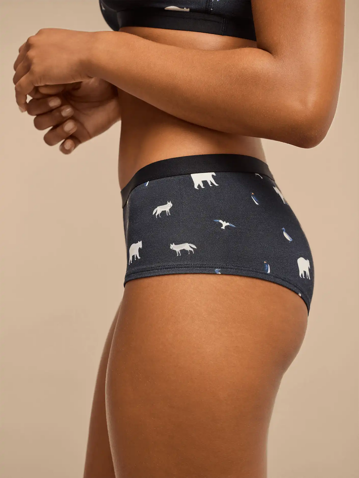 UltraModal™ Core Cheeky Brief | Arctic Chill