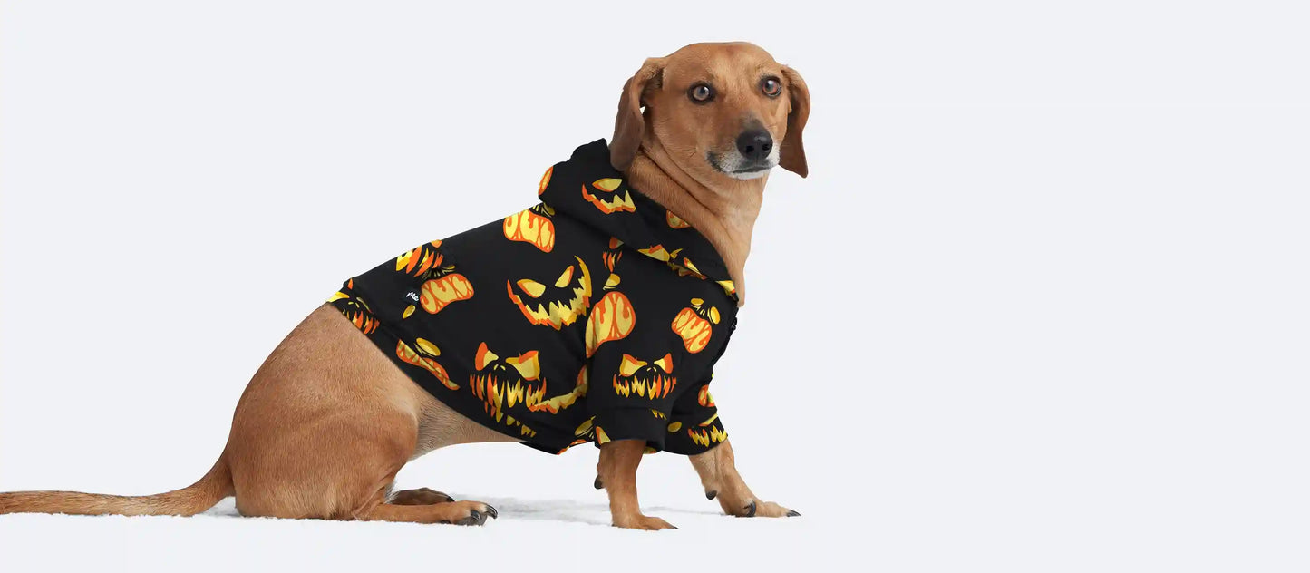 UltraModal™ Dog Hoodie | Jack Attack