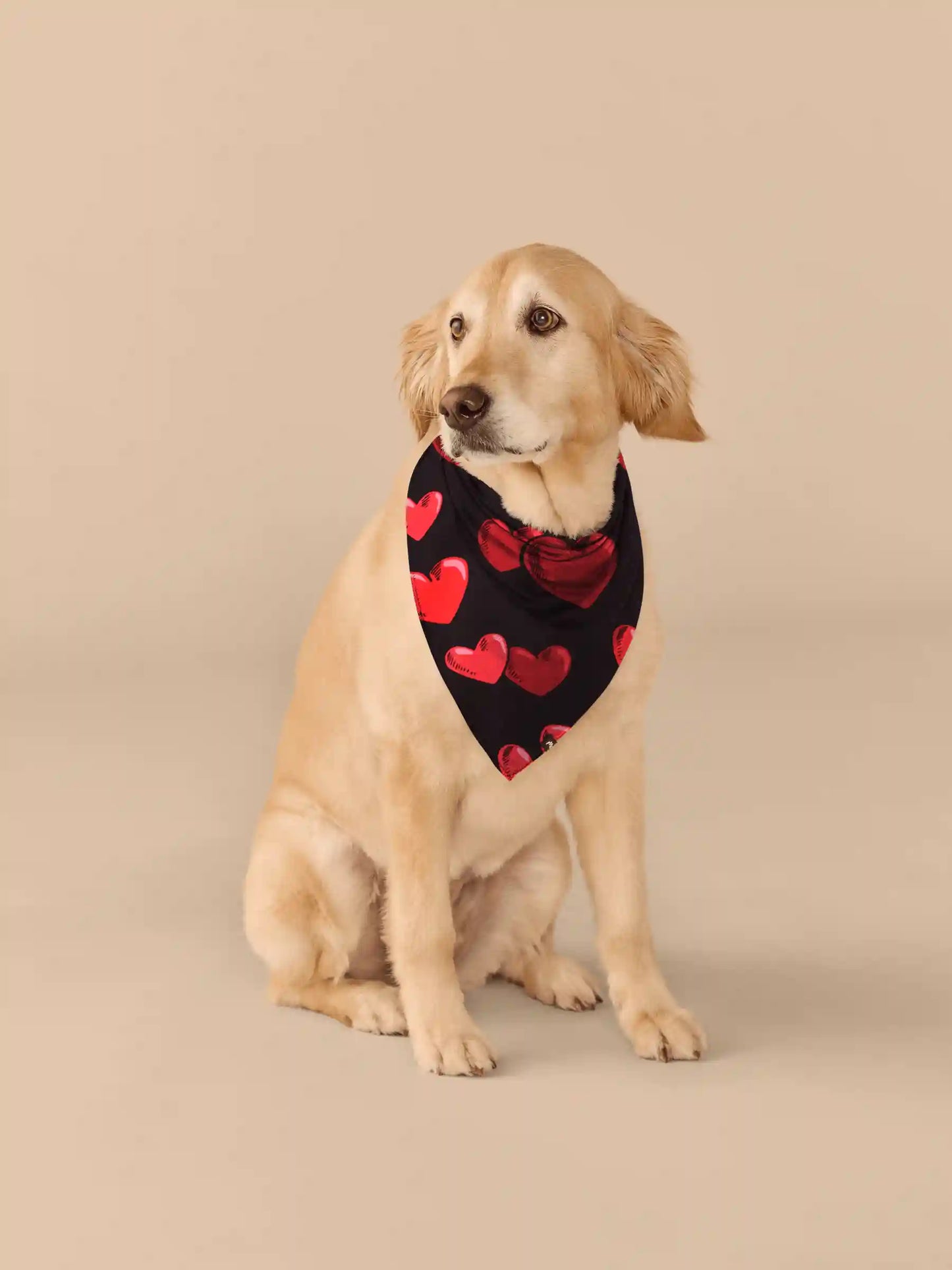 UltraModal™ BuddyBands™  | Floating Hearts