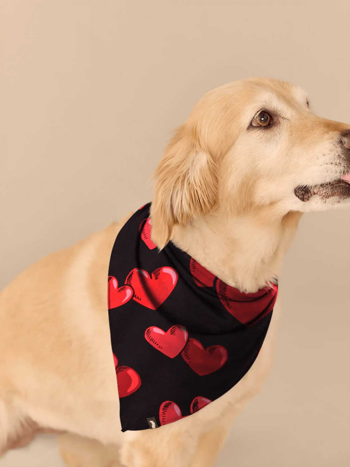 UltraModal™ BuddyBands™  | Floating Hearts