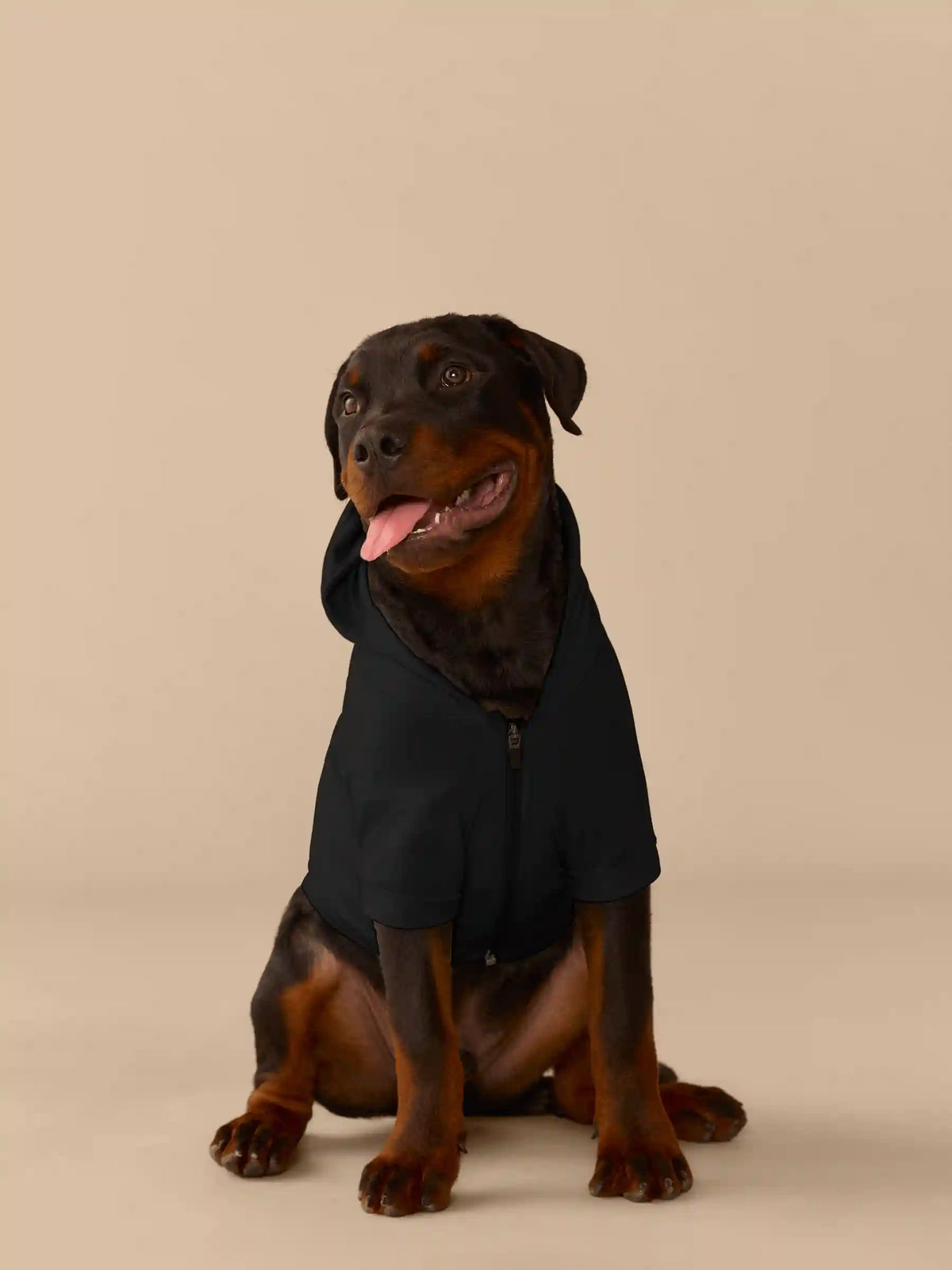 UltraModal™ Dog Hoodie | Black