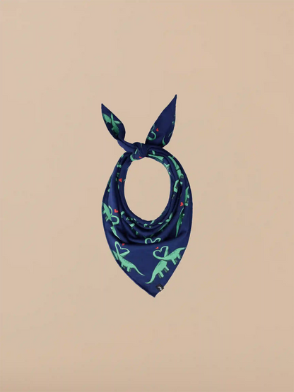 UltraModal™ BuddyBands™  | Saur in Love