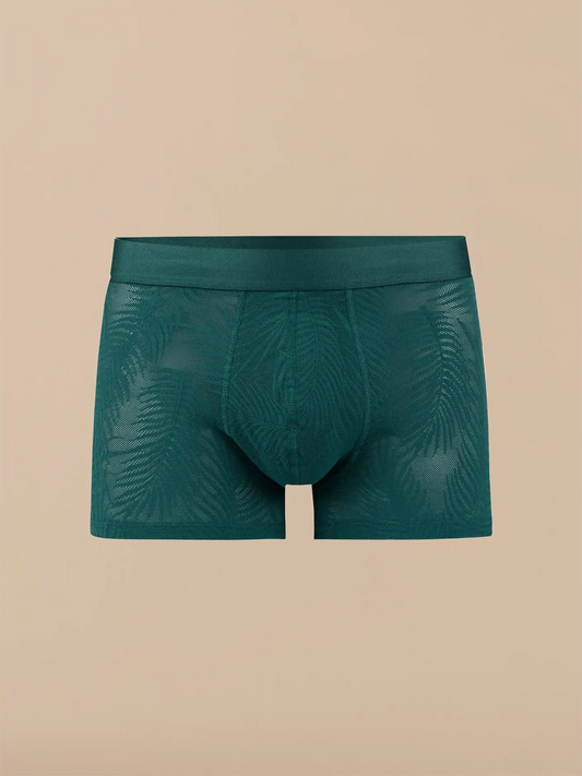 All Over Lace Trunk | Sea Moss Feather