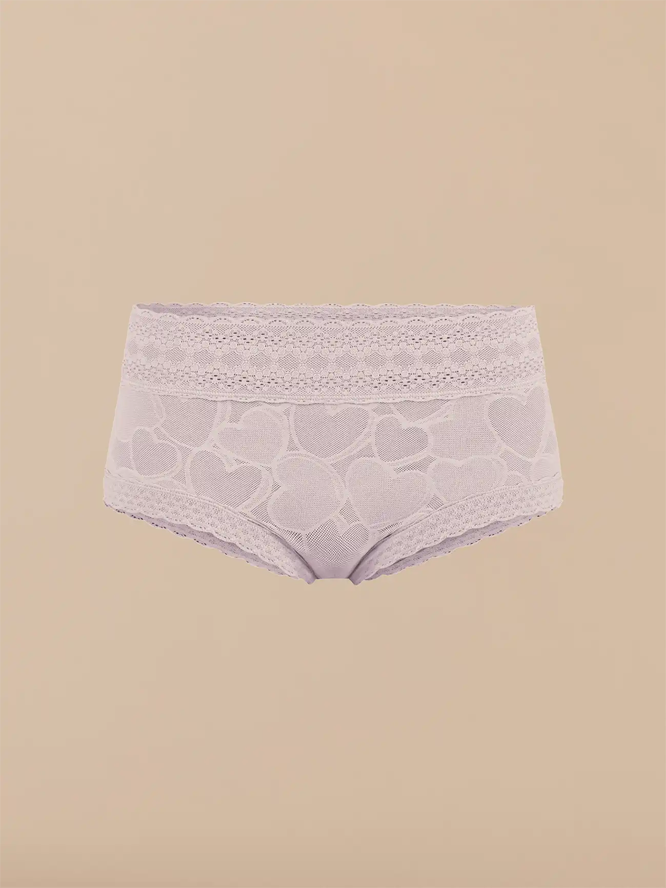 All Over Lace Hipster | Iris Hearts