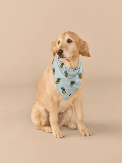 UltraModal™ BuddyBands™  | Pineapples