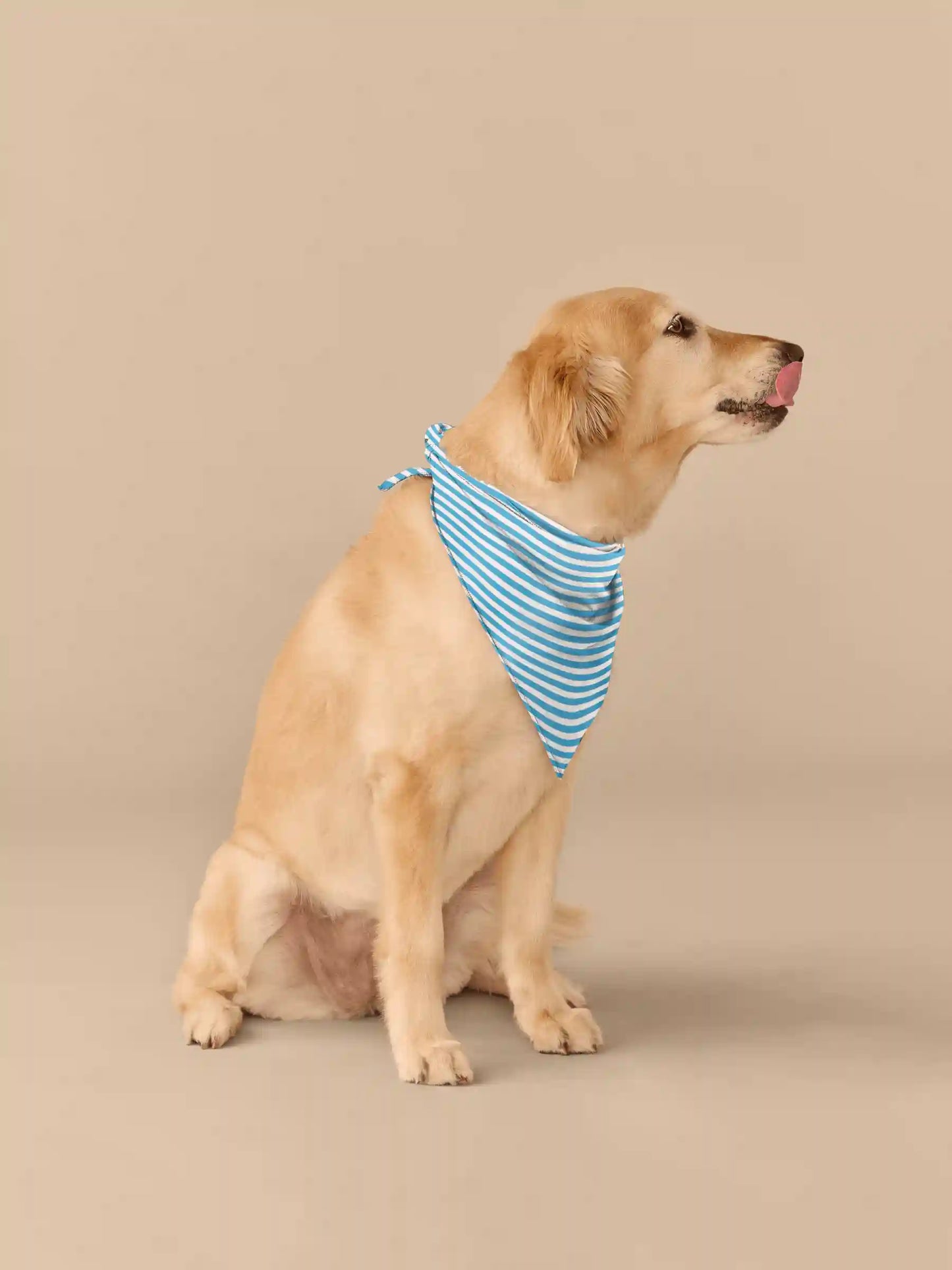 UltraModal™ BuddyBands™  | Amalfi Stripes