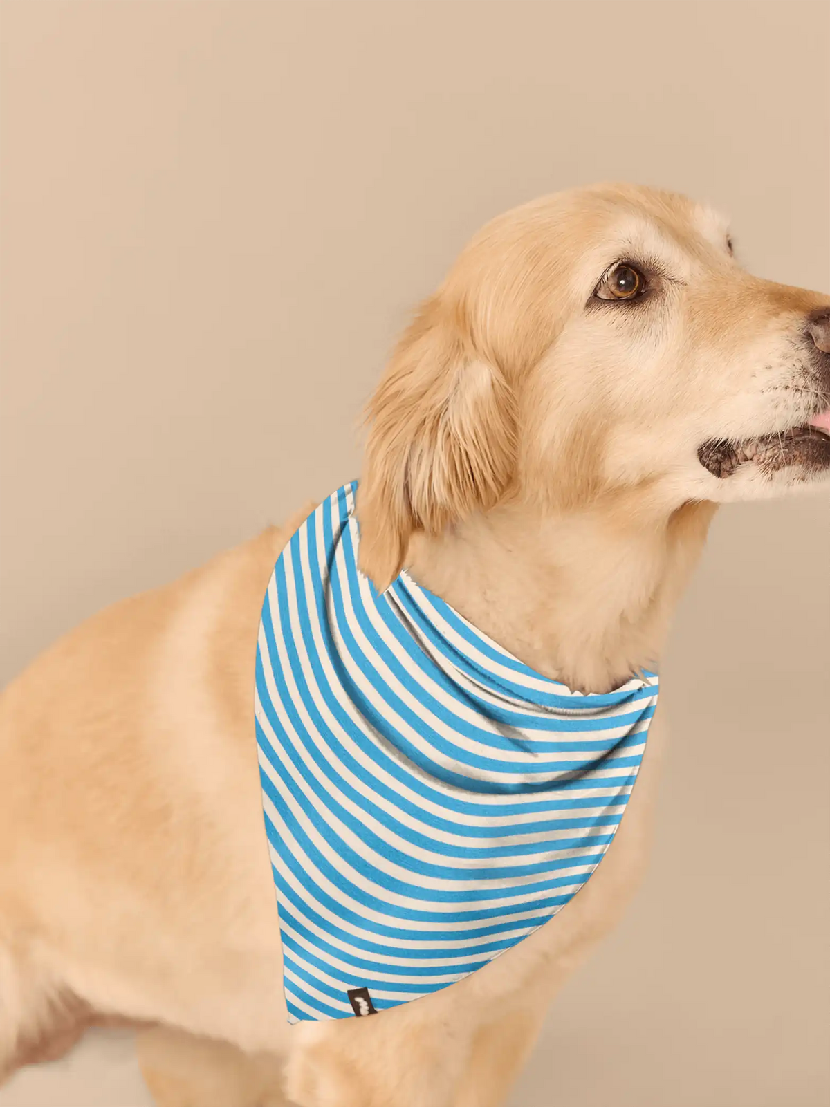 UltraModal™ BuddyBands™  | Amalfi Stripes