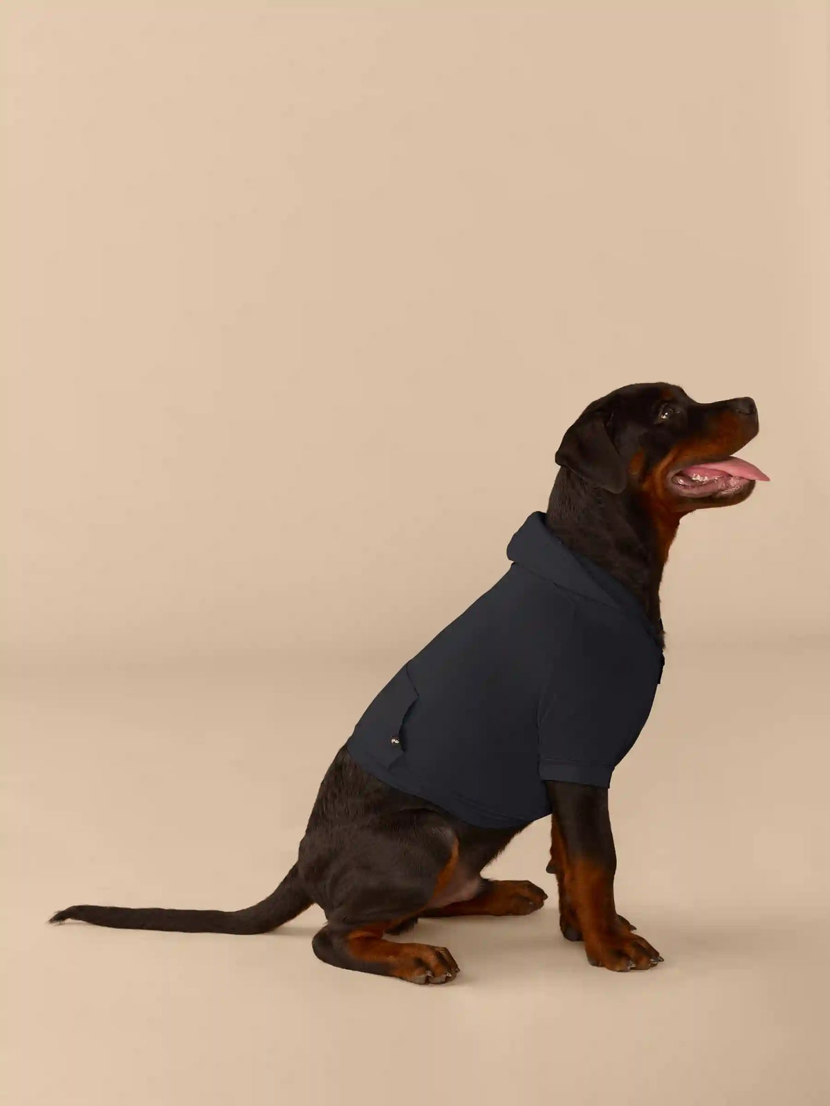 UltraModal™ Dog Hoodie | Black