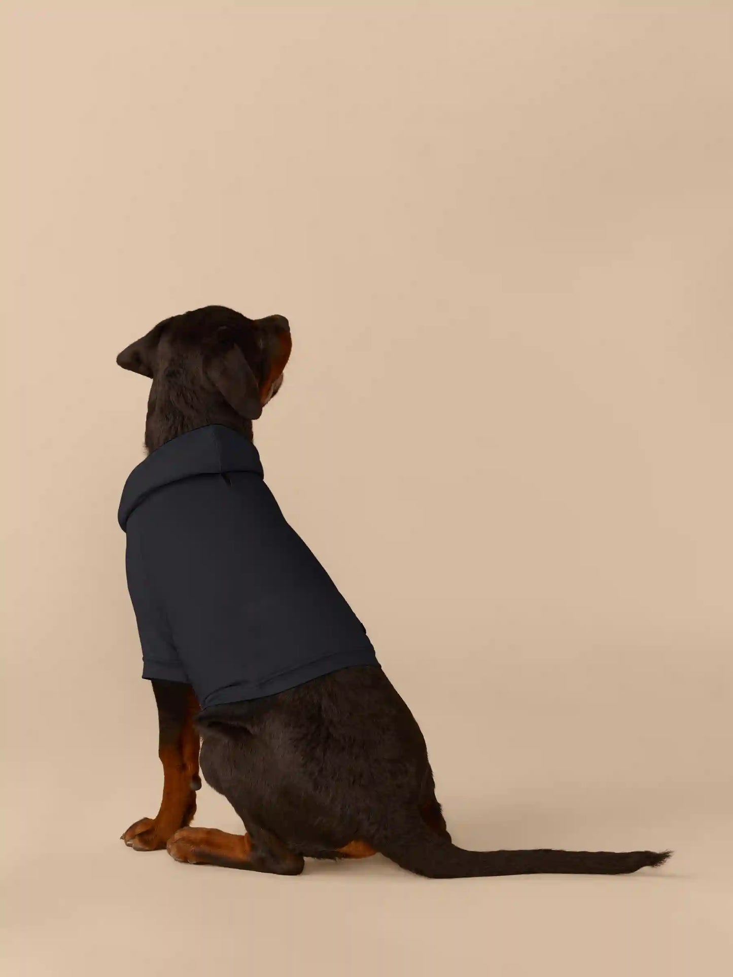 UltraModal™ Dog Hoodie | Black