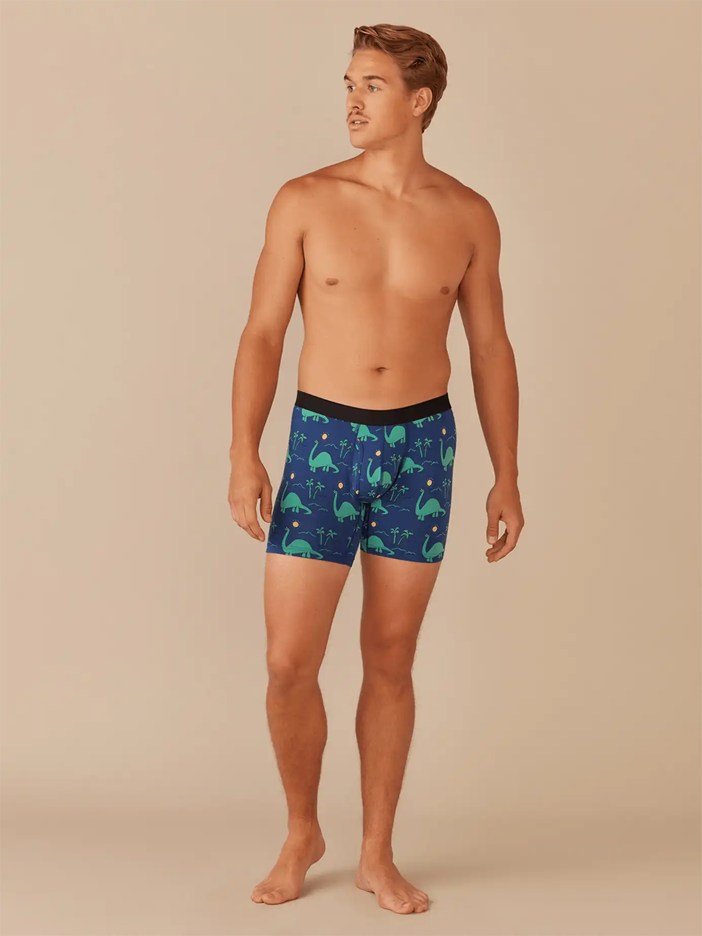 UltraModal™ Core Boxer Brief w/ Fly | Dino Shore