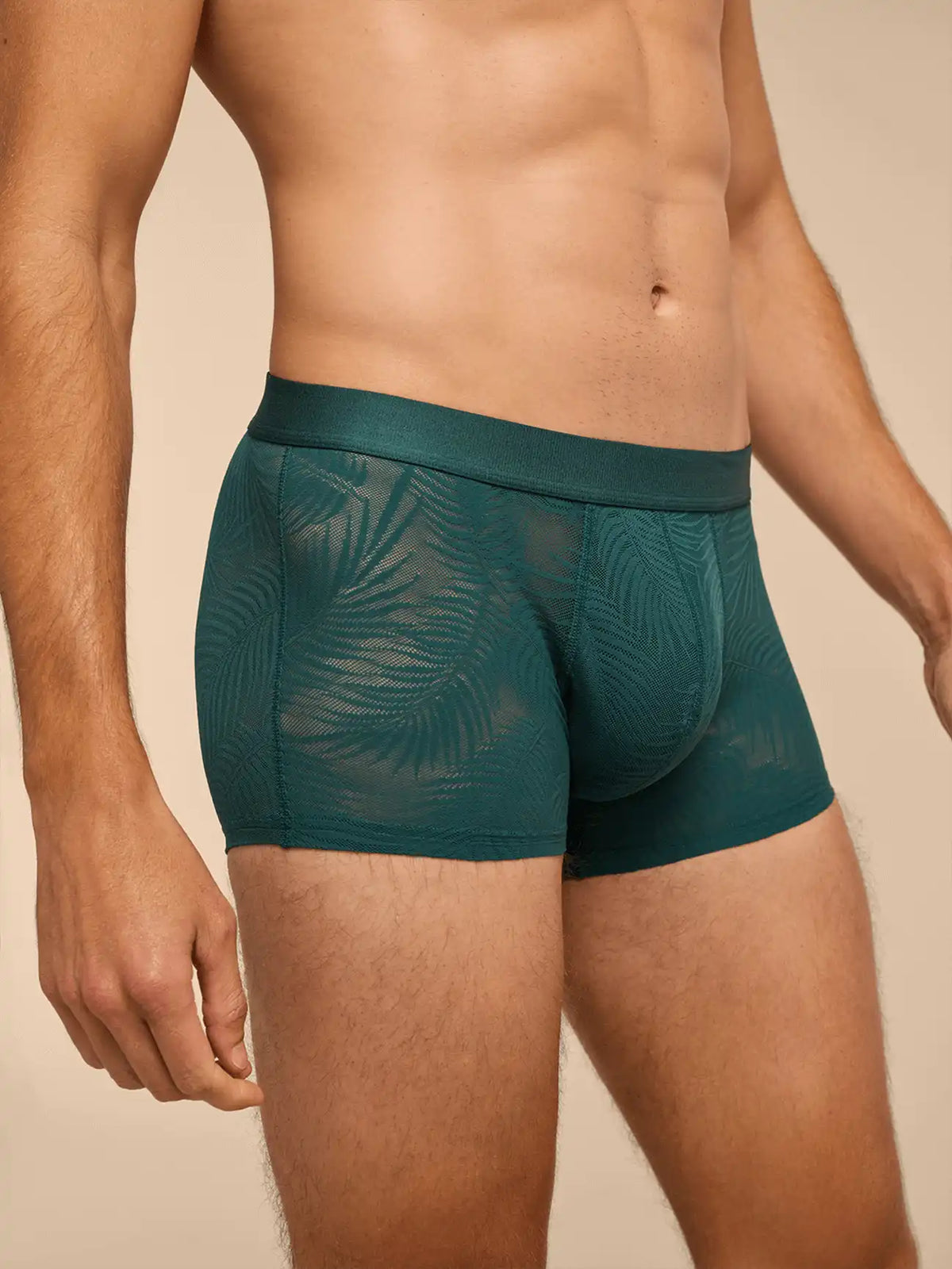 All Over Lace Trunk | Sea Moss Feather