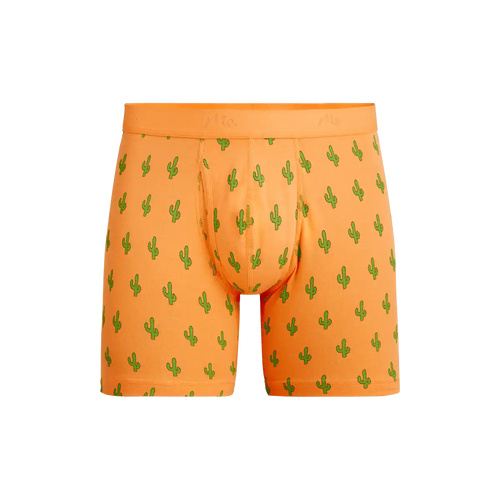 Stretch Cotton Boxer Brief w/ Fly | Saguaro Blossom