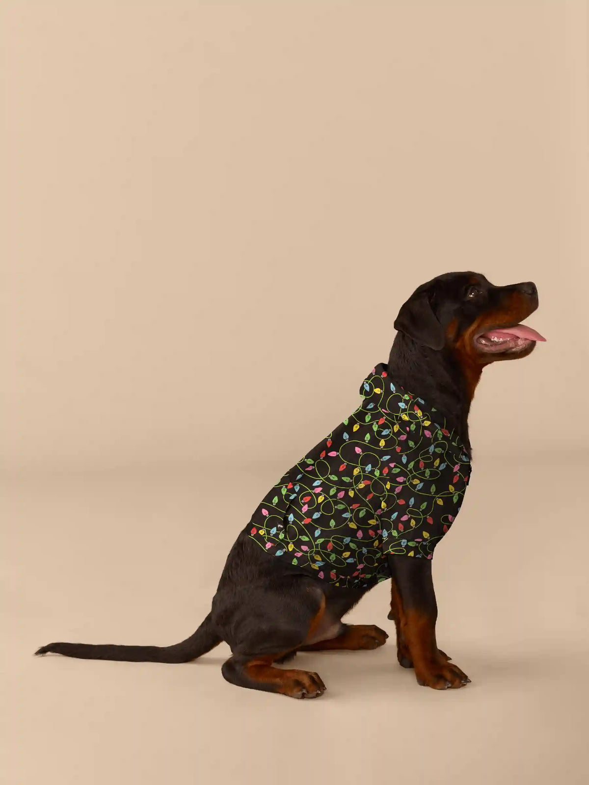 UltraModal™ Dog Hoodie | String Lights