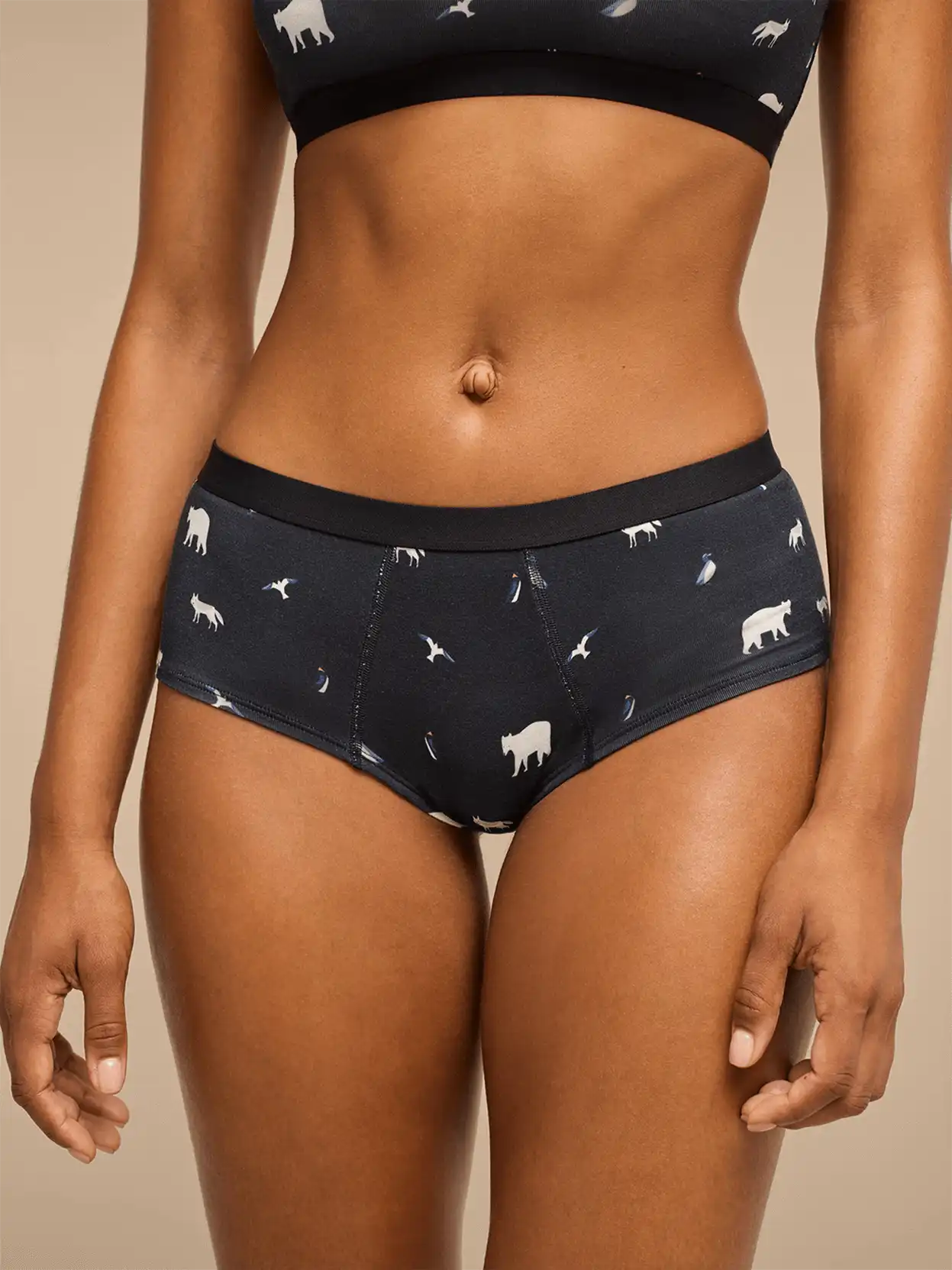 UltraModal™ Core Cheeky Brief | Arctic Chill